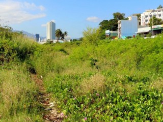 Khánh Hòa thu hồi đất dự án ‘lấp biển’ 30 triệu USD để làm công viên