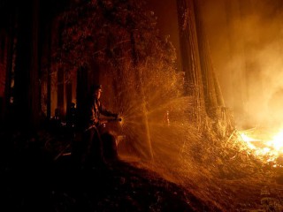 650 đám cháy rừng càn quét bang California, 7 người chết