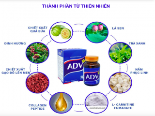 Các loại thảo dược giúp giảm cân an toàn trong thực phẩm bảo vệ sức khỏe ADV