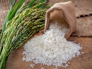 Giá lúa gạo hôm nay ngày 13/11: Nhu cầu nếp tấm tăng cao