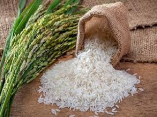 Giá lúa gạo hôm nay ngày 26/11: Giá gạo tiếp tục giảm mạnh