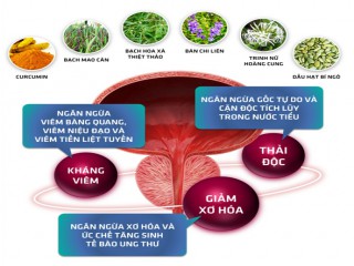 Hướng đi mới cho tình trạng tiểu nhiều, tiểu rắt, tiểu khó, tiểu buốt ở nam giới tuổi trung niên