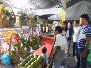 Khai mạc Festival lúa gạo Việt Nam lần thứ tư tại Vĩnh Long