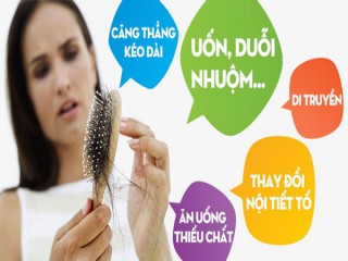 Cách phục hồi tóc khô xơ gãy rụng thành công đến 90% với An Calvitie