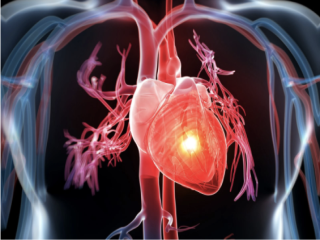 Tìm hiểu bệnh rối loạn nhịp tim và thuốc điều trị rối loạn nhịp tim